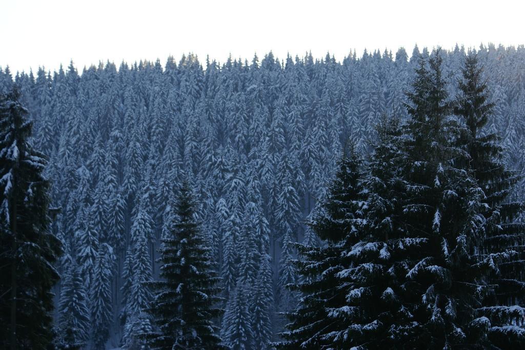 Penzion Apartmány U Semušky Pernink Exteriér fotografie